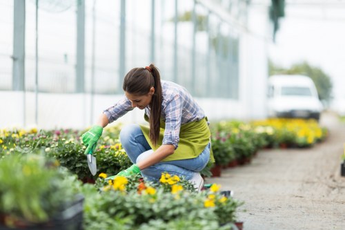 Seasonal garden planting and sustainable landscaping in Catford
