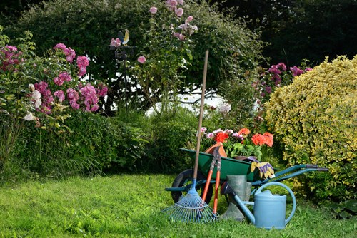 Soft landscaping work in a Catford residential garden with planting and turf preparation