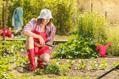 Local garden construction and planting project in Catford