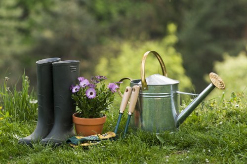 Safe and professional landscaping services in Catford