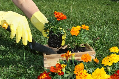 A tidy suburban Catford property after landscaping work