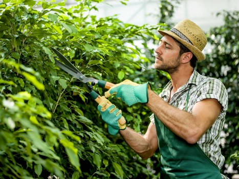 Final safety commitment for professional landscaping work