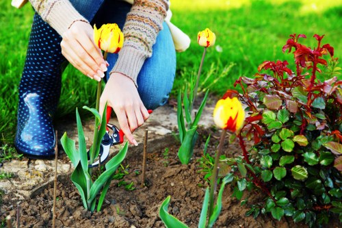 Closing commitment to ethical landscaping and human rights