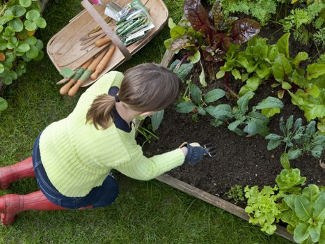Local Catford hard landscaping project showing paths, edging, and access features