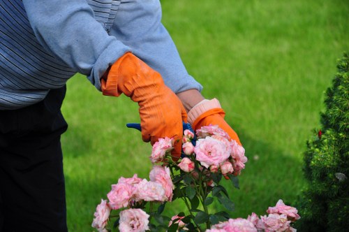 Training and teamwork on a Catford landscaping site