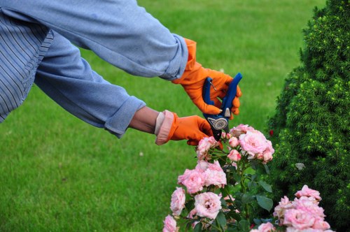 Midway review of a landscaping dispute and resolution process